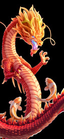龙