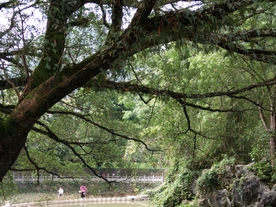 旅游区
