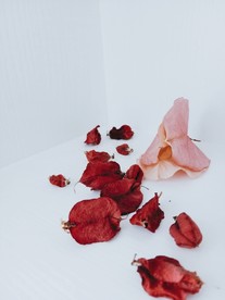 栾树果干花