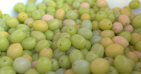 C4D模型 葡萄 水果