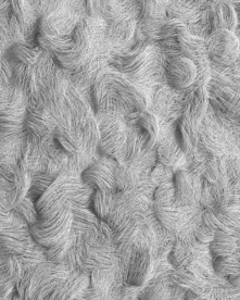 C4D模型灰白色的毛发