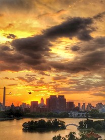 夕阳余晖下的公园