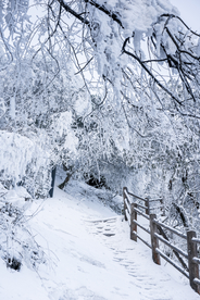 峨眉山雪景