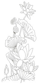 荷花