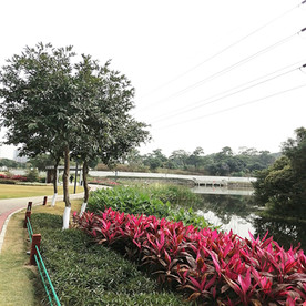 唐家湾花园小径