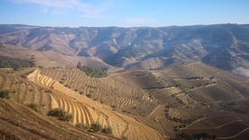 山地