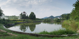 池塘