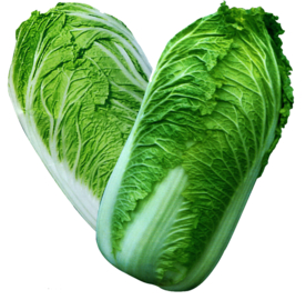 大白菜