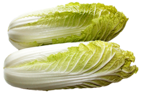 大白菜