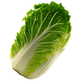大白菜