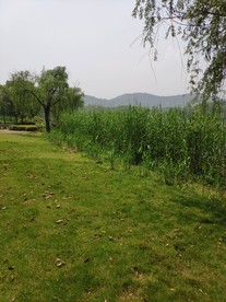 马山风景