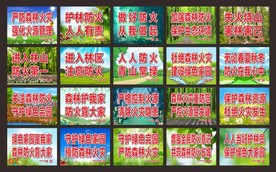 护林防火