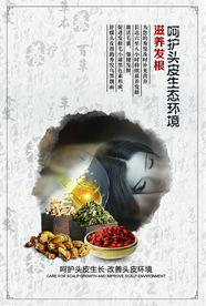养发海报  中药调养 边框