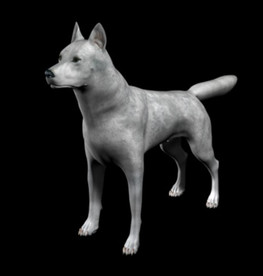 C4D模型 黑色狼犬