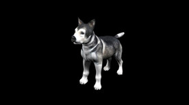 C4D模型 可爱小狗