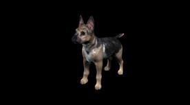 C4D模型 可爱小狗