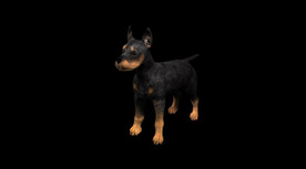 C4D模型 可爱小狗