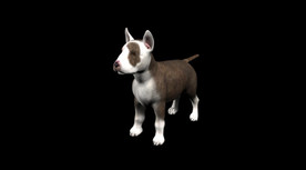 C4D模型 可爱小狗