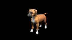 C4D模型 可爱小狗