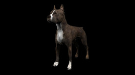 C4D模型 可爱小狗