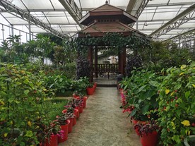 花卉观光园