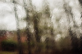 雨珠
