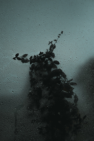雨珠