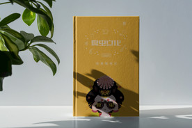 画册样机