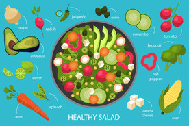 矢量健康饮食食谱