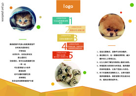 宠物托管三折页
