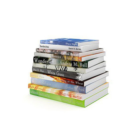 C4D模型 书名著小说