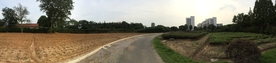 南京医科大学江宁校区荒地