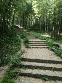 南京紫金山