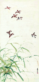 苇枝群雀