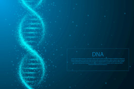 背景模板 展板背景