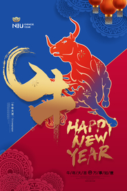 新年春节海报   美陈海报布置