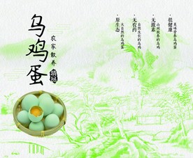 乌鸡蛋 绿壳乌鸡蛋