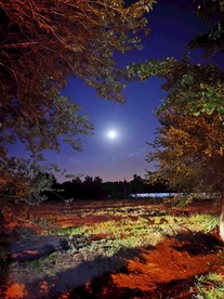 梦幻圆月 夜色夜景 北京 月亮