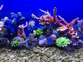 水族馆