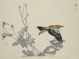 花鸟图