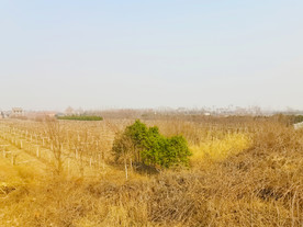 蓝天下的乡村美景