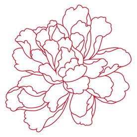 牡丹花矢量图