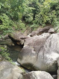 森林山谷河流风光