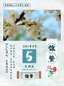 二十四节气惊蛰海报
