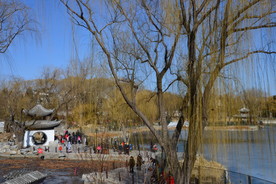 初春风景