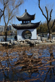 初春风景