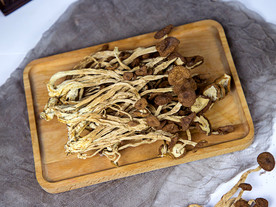 茶树菇
