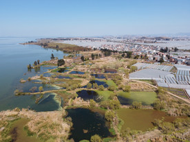 滇池湿地