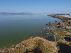 滇池湿地