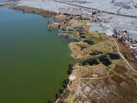 滇池湿地